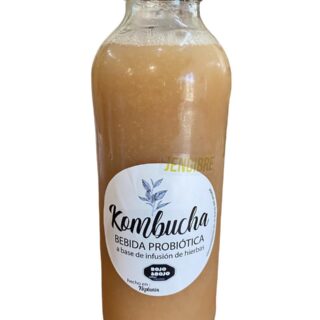 Kombucha de Jengibre 500ml - MIKOMBU