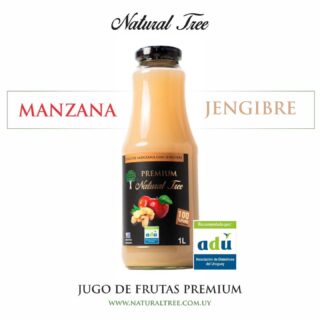Jugo Premium de manzana y jengibre Natural Tree 500ml
